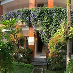 Darta Green Garden